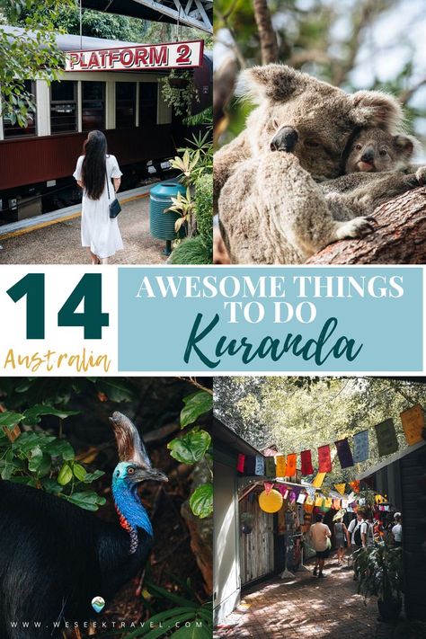 THINGS TO DO IN KURANDA Rainforest Village, Varkala Itinerary, Places To Visit In Western Australia, Queensland Australia Travel, Koala Sanctuary Australia, North Queensland, Travel Inspiration Destinations, Australian Travel, The Rainforest