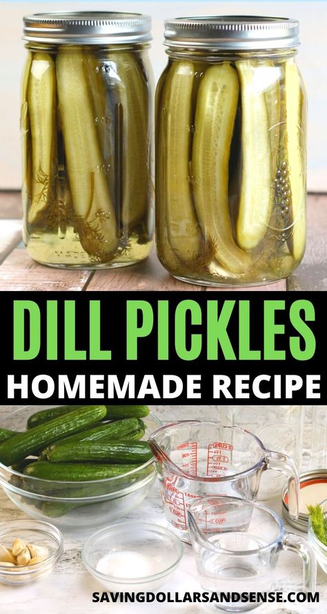 Dill Pickles Homemade, Easy Dill Pickle Recipe, Make Dill Pickles, Pickles Homemade Easy, Canning Pickles Recipe, Pickles Homemade, Dill Pickles Recipe, Garden Cucumbers, Making Dill Pickles