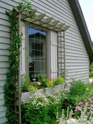 A mini pergola for around the window, a beautiful architectural support for training clematis or climbing roses. Mini Pergola, Koti Diy, نباتات منزلية, Small Front Yard Landscaping, Small Front Yard, Garden Vines, Window Planter Boxes, Side Yard, Garden Trellis