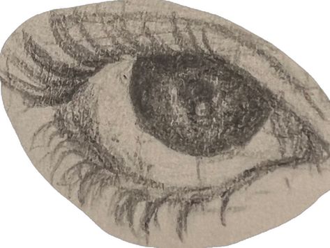 Eyes Drawing, Doe Eyes, Eye Drawing, Drawings