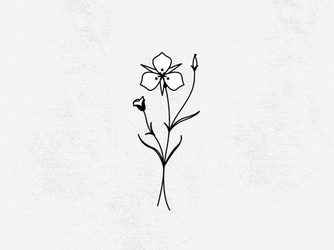 SEGO LILY by Alyson Brown #wolfandwildflowers Three Petal Flower Tattoo, Sego Lily Drawing, Sego Lily, Sego Lily Tattoo, Lily Flower Tattoos, Flower Tattoo Back, Coffee Tattoos, Flower Tattoo Shoulder, Lily Tattoo