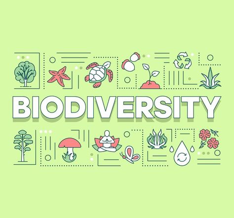 Biodiversity word concepts banner. Forest reserve. Maintenance of ecosystem. Underwater life. Presentation, website. Isolated lettering typography idea with linear icons. Vector outline illustration Presentation Website, Outline Illustration, Lettering Typography, Underwater Life, Ecosystem, Vector Art, Vector Free, Presentation, Typography