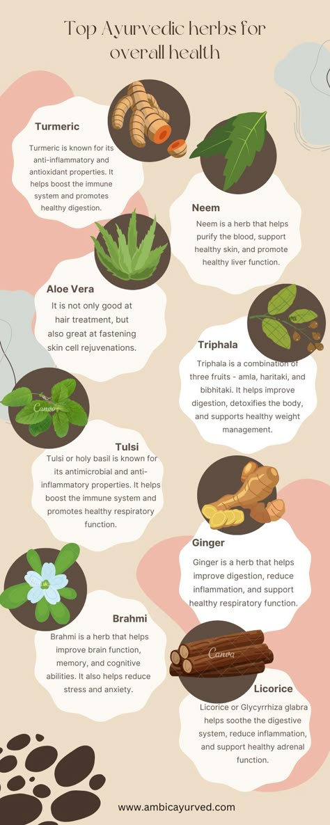 Ayurveda, a traditional system of medicine, uses natural herbs and plants to promote overall health and well-being. Here are some of the top Ayurvedic herbs that can help boost your immunity, support digestion, reduce inflammation, and promote relaxation: Turmeric, Triphala, Brahmi, Neem, Tulsi, Guduchi, and Shatavari. Incorporating these herbs into your daily routine can be a great way to enhance your overall health and improve your quality of life. Spices Health Benefits, Hair Herbs, Pregnancy Herbs, Liver Herbs, Spell Herbs, Spices For Health, Herbs Benefits, Health Spell, African Herbs