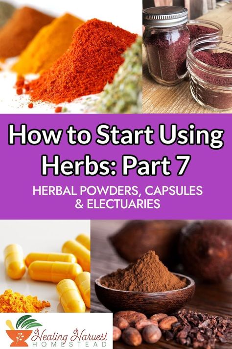 Herbal powders are the most common way to get your herbs, but did you know that you can make your own herbal capsules without all the fillers and potentially stale herbs? Making your own capsules is easy and a great way to take those herbs you don't like the taste of! Herbal powders can also be used to make electuaries! Electuaries are a sweet that kids can easily help you make. #herbalism #herbcapsules #herbalelectuaries #powderedherbs #herbalsweets Herbal Capsules, Learning Herbs, Herbal Vinegar, Herbal Medicine Recipes, Herbal Tonic, Herbal Salves, Herbal Tinctures, Essential Oils Herbs, Herbal Apothecary