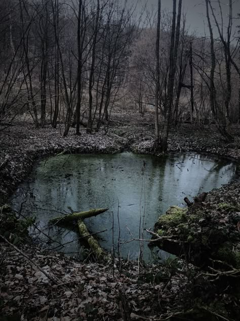 Forest Scary Aesthetic, Forest Swamp Aesthetic, Mysterious Forest Aesthetic, Forest Horror Aesthetic, Dark Swamp Aesthetic, Scary Forest Drawing, Sludge Aesthetic, Swamp Aesthetic Dark, Scary Forest Aesthetic