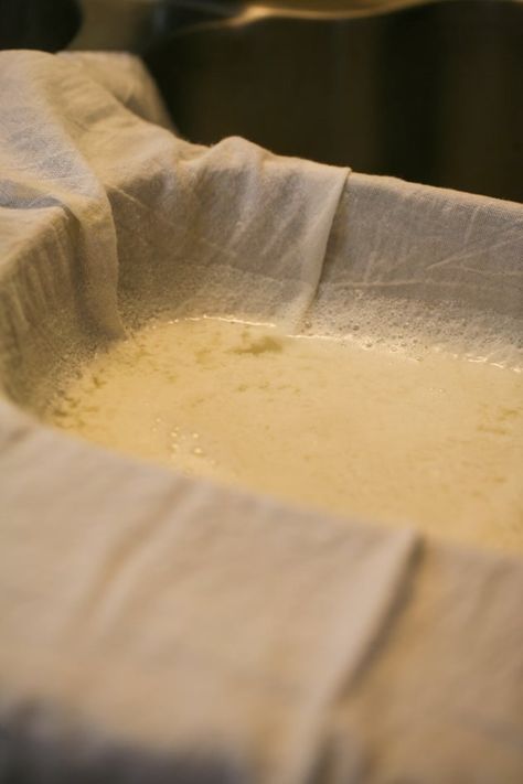 A step-by-step tutorial on how to make ricotta from whey. Making ricotta cheese from left-over whey is simple and quick! It's creamy and delicious. #ricottafromwhey #homemadericotta #cheesemaking #howtomakericottafromwhey Ricotta From Whey, Whey From Yogurt, Making Ricotta Cheese, Homemade Cheese Recipes, Uses For Whey, Make Ricotta Cheese, Cheese Recipes Homemade, Diy Cheese, Filled Pasta