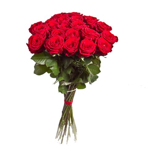 Rose Flower Png, Flower Bouquet Png, Hd Flowers, Bouquet Images, Flower Png Images, Rose Delivery, Rosé Png, Valentines Day Photos, Iphone Background Images