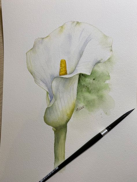 Calla Lily Watercolor Painting, Calla Lily Wallpaper, Calla Lily Drawing, Calla Lily Watercolor, Lily Watercolor Painting, Calla Lily Painting, Lilies Watercolor, Abstract Watercolor Paintings Tutorials, Watercolor Lily