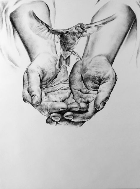 Spine Art, Pencil Colour Painting, Holding Hands Drawing, Matthew 6 26, Money Tattoo, Heaven Art, Hand Drawing Reference, Beautiful Sketches, Art Drawings Sketches Pencil