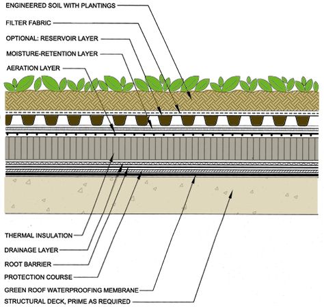 I recently received  an email from a guy who wanted to build a Green roof on top of his ISBU Home. He's using SIPs to create his roof. Why? Because he's S-M-A-R-T. :) However, "green roofs" are HEA... Green Roof Planting, Roof Plants, Green Roof Design, Roof Landscape, Extensive Green Roof, Green Roof Garden, Green Roof House, Green Roof Building, Green Roof System