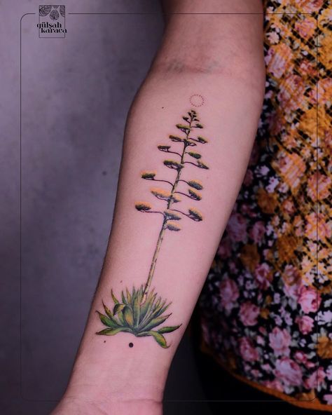 •Gülşah KARACA• on Instagram: “Agave plant in full bloom ♥️Pls check this amazing plant from google! It’s amazing,huge ,beautiful #agaveplant” Agave Flower Tattoo, Agave Tattoo Cactus Flower, Cactus And Palm Tree Tattoo, Century Plant Tattoo, Agave Plant Tattoo, Agave Tattoo, Agave Flower, Cactus Flower Painting, Desert Tattoo