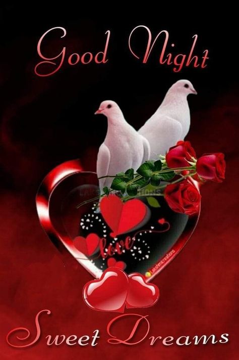 Sweet Good Night, Beautiful Good Night Messages, Good Night Shayari, Sweet Good Night Messages, Night Shayari, Romantic Good Night Image, Good Night Hindi, Good Morning Snoopy, Beautiful Good Night Quotes