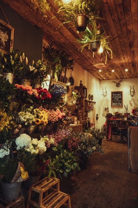 Flower Shop Aesthetic Vintage, Manchester Aesthetic, Florist Aesthetic, Flower Shop Aesthetic, Flower Shop Interiors, Best Hair Stylist, Oc Reference, Reference Board, Save File