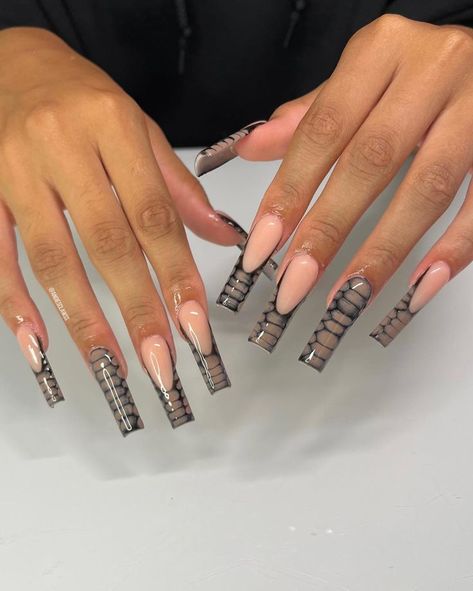 Brown Nails French Tip, Brown Nails French, Snake Skin Nails Designs, Snake Print Nails, Claw Nails Designs, Tip Acrylics, Snake Skin Nails, Lily Nails, French Tip Acrylics