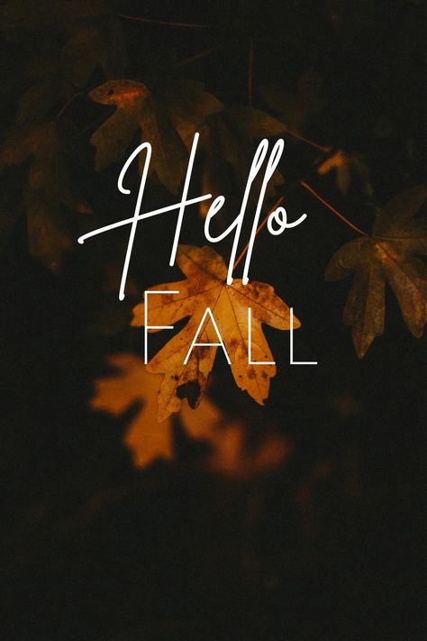 Feels Like Fall Weather Quotes, Fall Weather Quotes, Hello Fall Quotes, September Wallpaper, October Quotes, Welcome September, Fall Quote, Fall Lovers, Fall Quotes