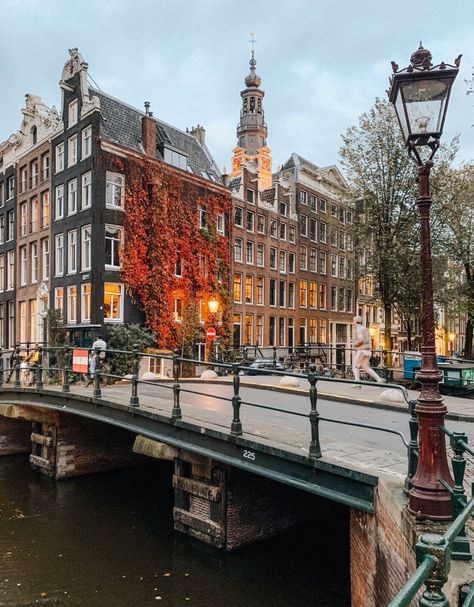 Where To Find Autumn Colours In Amsterdam - Stephanie Fox Amsterdam In Autumn, Nederland Aesthetic, Amsterdam In October, Amsterdam Lifestyle, Amsterdam October, Amsterdam Sights, Amsterdam Autumn, Sweet Halloween Treats, Amsterdam Fall