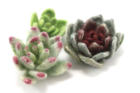 Felted Succulents, Tovad Ull, Felt Succulents, Trendy Plants, Needle Felting Diy, Felted Wool Crafts, Succulent Art, Wool Animals, Needle Felting Tutorials