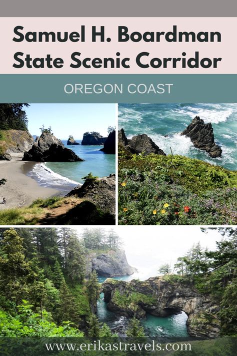 The Samuel H Boardman Scenic Corridor is among the prettiest parts of the Oregon Coast. Learn about the best road trip stops along the southern Oregon Coast with this guide to the best things to do in Samuel Boardman State Park. Oregon Coast Hikes, Oregon Coast Roadtrip, San Francisco Road Trip, Oregon Coast Camping, Road Trip Stops, Pacific Coast Road Trip, Oregon Camping, Oregon Coastline, Oregon State Parks