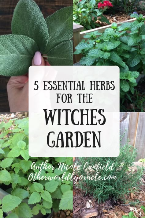 Herbal Witch, Witches Garden, Witch's Garden, Witchy Garden, Garden Witch, Outdoor Herb Garden, Rosemary Sage, Witch Herbs, Healing Garden