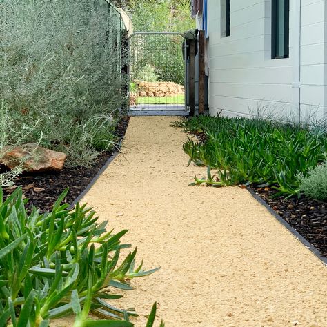 Pigface, native rosemary, lomandra seascapes, limestone path, crushed stone, coastal Crushed Limestone Walkway, Crushed Limestone Landscaping, Crushed Stone Landscaping, Native Rosemary, Limestone Landscaping, Pebble Driveway, Limestone Gravel, Landscaping Entrance, Shaw House