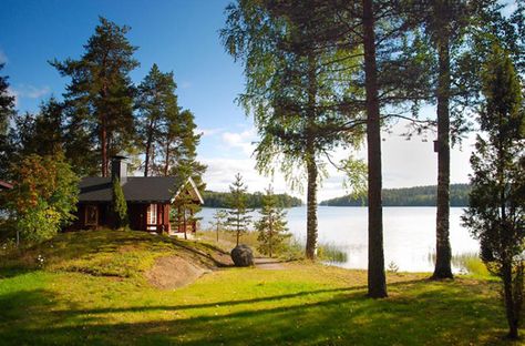 lake cabin Tiny House Blog, Tiny House Listings, Lake Living, Cabin Living, Little Cabin, Lake Cottage, Lake Cabins, A Cabin, Tiny Houses For Sale