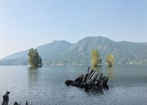 Lake Cushman (Washington) - All You Need to Know BEFORE You Go Savory Food, Forest Service, Olympic National Park, Get Shot, Best Hikes, Beautiful Lakes, Day Hike, Fall Foliage, National Forest