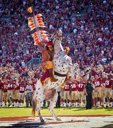 Osceola and Renegade Fsu Seminoles Football, Noles Football, Seminole Tribe, Florida State Seminole, Florida State Seminoles Football, Florida State Football, Seminoles Football, Fsu Football, Fsu Seminoles