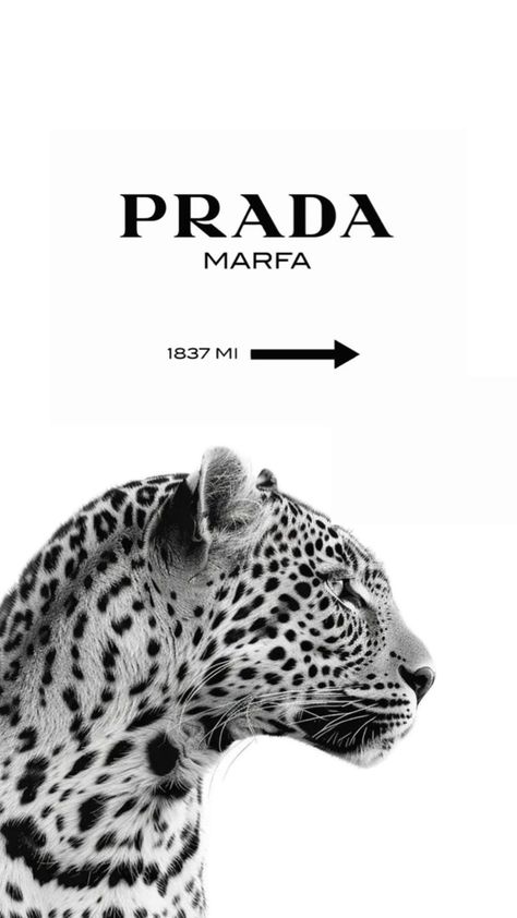 Prada Logo Wallpaper, Prada Poster, Estilo Blair Waldorf, Ariana Grande Poster, Aesthetic Room Posters, Beach Wall Collage, Printable Wall Collage, Prada Marfa, Fashion Poster Design