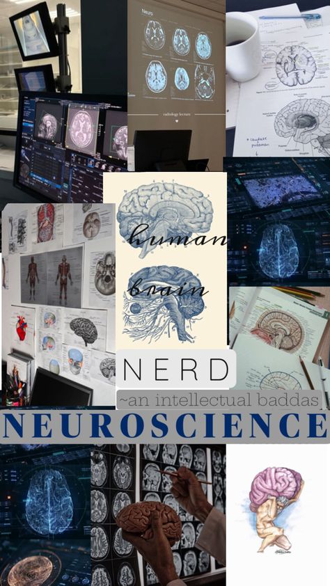 Neuro Aesthetic, Medicine Inspiration, Doctor Motivation, Brain Anatomy And Function, Neurologist Doctors, Psychology Aesthetic, Med Motivation, Medicine Aesthetic, Radiation Oncology