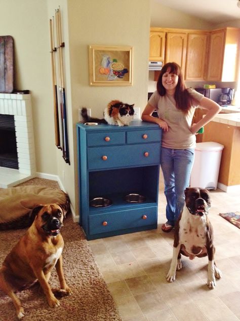 I have an old dresser; therefore, I have a pet station!!  1. Put dog food in lower drawer (Lined with plastic trash bag) 2. Keep cat food in a cute vintage tin on top. 3. Keep brushes, toys and meds in small baskets inside other drawers. 4. Hang shelves above and store treats in vintage tins or glass jars. Love it! Cat Food Station, Dog Food Station, Pet Station, Pet Feeding Station, Dog Feeding Station, Diy Dog Food, Pet Food Storage, Food Dog, Feeding Station