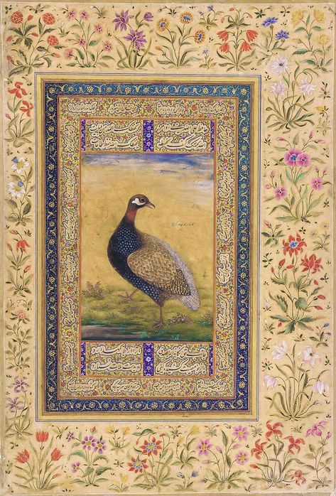 Black Francolin. Mughal. Muhammad, 19th Century. Freer Galleries. Mughal Paintings Flowers, Mughal Miniature, Mughal Miniature Paintings, Persian Painting, Mughal Art Paintings, Persian Art Painting, Persian Miniature, Mughal Paintings, Esoteric Art