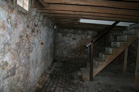 imagine having to film in this basement #spooky #thegirlfromthebasement Dark Basement, Old Basement, Gif Terror, Creepy Houses, Basement Plans, State School, Unfinished Basement, Abandoned Buildings, Basement Remodeling