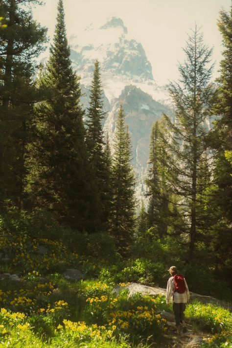 Mountain Aesthetic, Camping Aesthetic, Hiking Aesthetic, Hiking Guide, Adventure Aesthetic, Mountain Life, Nature Aesthetic, New Wall, Pretty Places