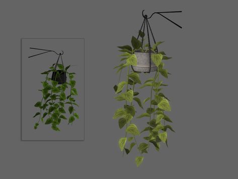 Plant Cc Sims 4, Garden Sims 4, Sims 4 Garden Cc, Sims 4 Garden, Sims 4 Decor, Sims 4 Kitchen, Sims Furniture, Sims Packs, Plants Hanging