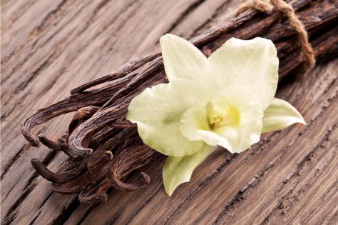 Bunch of vanilla sticks and flower on old wood. Vanilla Sticks, Vegan Table, Vegan Kitchen, Skin Food, Healthy Families, Few Ingredients, Sweet And Spicy, Vanilla Bean, Frogs