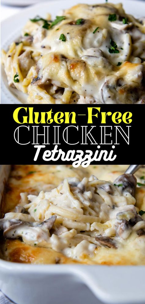 Dinner Recipes Lactose Free, Gluten Free Chicken Noodle Casserole, Gluten Free Mushroom Chicken, Gluten Free Rice Casserole, Gluten Free Chicken Cordon Bleu, Gluten Free Chicken Tetrazzini, Quick And Easy Gluten Free Dinner Recipes, Gluten Free Casseroles Dinners, Gluten Free Dinner Casserole Recipes