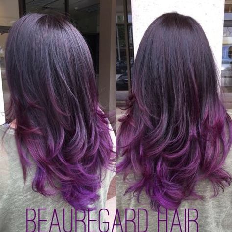 Hair Color Ideas For Brunettes With Purple Highlights, Hair Dye On Dark Brown Hair, Dyed Ends Of Hair Brunettes Purple, Dark Purple Shoulder Length Hair, Dark Brown Hair With Purple Ends, Purple Hair With Layers, Purple Baylage Hair Brunettes, Purple Hair Dye Ideas For Brunettes, Brown Hair Purple Tips