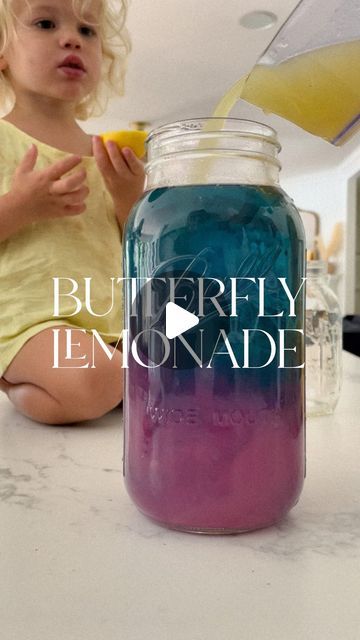 8,688 likes, 202 comments - essentiallyerin__ on July 28, 2022: "BUTTERFLY LEMONADE 🦋 Skips the dyes and fake sugars and add this one to your summer to-do. Delicious and refreshing + the color-changing magic at the end is fun for the whole family. WHAT YOU NEED: Butterfly Pea Flowers Juice from 8 fresh lemons 1/2 cup sugar Boiling water 1/2 gallon mason jar or similar sizes glass pitchers/jars Juice 8 lemons and set aside. Add 1/2 cup sugar to glass container and dissolve in hot water (I Butterfly Lemonade, Butterfly Pea Flowers, Gallon Mason Jars, Pink Palace, Butterfly Pea Flower, Butterfly Pea, Glass Pitchers, Drinks Smoothies, July 28