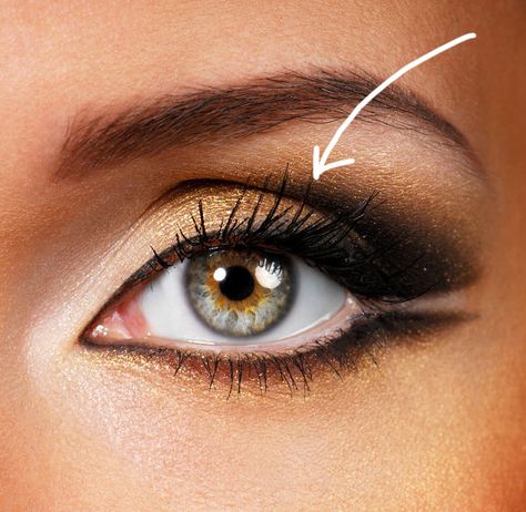 Types of Eyelid Creases deepset eyes | Notice the deep-set eyes, strong brow bone, and defined crease. Now ... Makeup For Small Eyes, Membentuk Alis, Halloween Contact Lenses, Eye Brows, Dramatic Eye Makeup, Best Eyeshadow, Gold Eyeshadow, Dramatic Eyes, Makeup Hacks