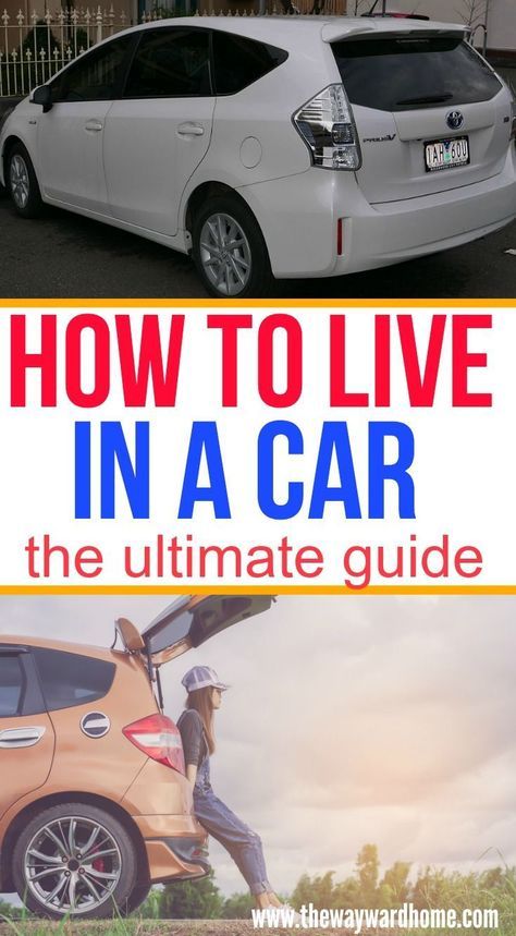 Live In Your Car, Living In A Car, Budget Camping, Camping Gear Gadgets, Living In Car, Stealth Camping, Camping Desserts, Car Living, Photography Outfits