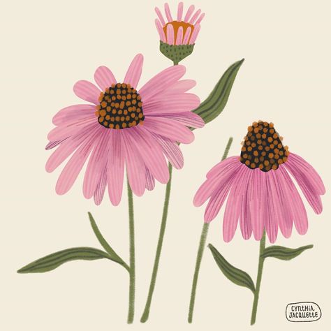 Cynthia Jacquette Art + Design on Instagram: “Cone flower. I love the shape of these guys. #3x3designchallenge #sketchdesignrepeat #illustrationartists #surfacedesign…” Cone Flowers Drawing, Coneflower Drawing Simple, Cone Flower Illustration, Coneflower Illustration, Cone Flower Tattoo, Coneflower Drawing, Science Board, Art Process, Illustrators On Instagram