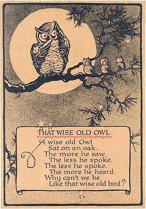 Nursery Rhymes Poems, Old Nursery Rhymes, Owl Quotes, Autumn Poems, Owl Wisdom, Wise Old Owl, Childrens Poems, Childrens Poetry, Owl Images