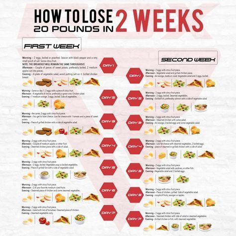 A healthy Diet Plan to Lose 20 Pounds in 2 Weeks | RDX Sports Blog Program Diet, Easy Diet Plan, Resep Diet, Fitness Plan, Fitness Apps, Body Wrap, Easy Diets, Barre Workout, Dr Oz