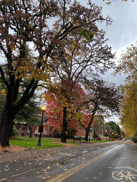 Oregon State University Aesthetic, Neighborhood Aesthetic, Pnw Fall, Oregon Fall, Osu Beavers, Oregon College, Corvallis Oregon, Oregon Living, College Of Charleston