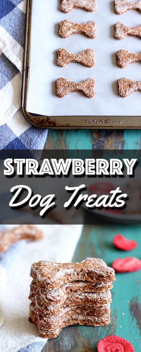 The addition of freeze dried strawberry in these Strawberry Dog Treats packs a big punch of strawberry aroma. | wildwildwhisk.com #dogtreats #freezedriedstrawberry #pet Strawberry Dog Treats, Pet Bakery, Freeze Dried Dog Treats, Dogs Treats, Doggy Treats, Healthy Dog Treats Homemade, Doggie Treats, Animal Ideas, Diy Dog Treats