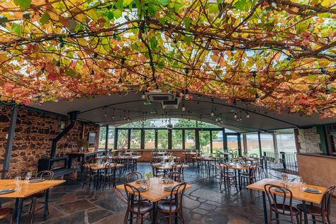 Vineyard Restaurant Design, Vineyard Restaurant, Winery Australia, Wineries Architecture, Delicious Magazine, Cellar Door, Wine List, Wine Region, South Australia