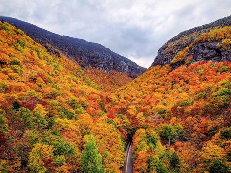 "How beautifully leaves grow old. How full of light and color are their last days." - John Burroughs, Naturalist and Essayist  Vermont's foliage (and cycling) are incredible! 🍁  Get Vermont Bike Tours here → https://www.roaradventures.com/tours?a=62&sb=best_match&q=vermont&utm_source=social&utm_medium=post  📷 via #Vermont #Tourism _ #fall #foliage #colors #leaves #beauty #cycling #bike #tour #cycle #adventure #thisisvt Travel Vermont, Vermont Vacation, Vermont Fall, Lakeside Resort, Leaves Changing Color, Burlington Vermont, Cheap Fall, Fall Getaways, New England Travel