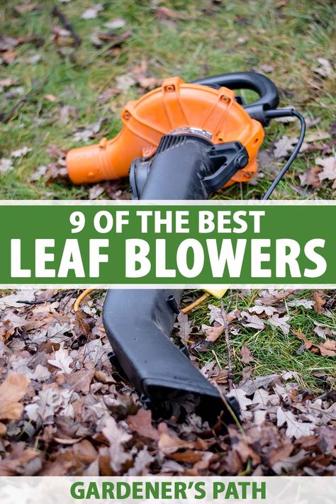 Are you looking for a leaf blower? Check out our tips and make sure you’re armed with the information you need to select the right machine – gas or electric, handheld or backpack – that’s right for your landscape and work style. Learn about 9 of the best leaf blowers now on Gardener's Path. #leafblower #gardenerspath Electric Leaf Blower, Outdoor Survival Kit, Best Garden Tools, Diy Garden Bed, Winter Gardening, Growing Fruit Trees, Vegetable Benefits, Diy Leaves, Leaf Blowers