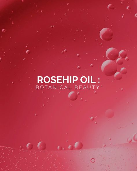 Enrich your hair care ritual with the exquisite essence of Rosehip Oil, a botanical wonder that transcends the ordinary.✨⁠ ⁠ Boost your hair's radiance with the natural shine of Rosehip Oil. Watch your locks catch the light, revealing an ethereal, luminous sheen that speaks of health and vitality.⁠ ⁠ Explore now our collection of products where you'll find the benefits of rosehip oil and let your hair soak in the greatness.⁠ ⁠ www.beasbayouskincare.com⁠ ⁠ #beasbayouskincare #beasbayou #itchys... Benefits Of Rosehip Oil, Rosehip Oil Benefits, Health And Vitality, Botanical Beauty, Rosehip Oil, Skincare Products, The Ordinary, Ritual, Hair Care