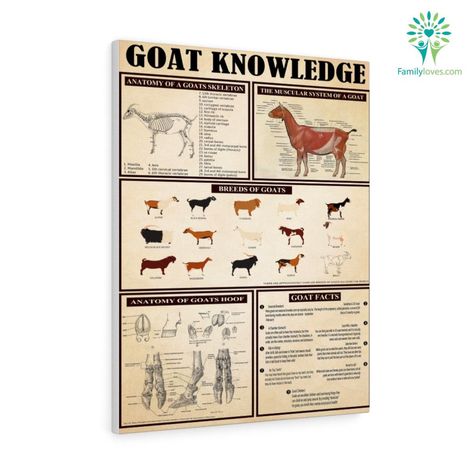 Knowledge Poster, Funny Goat, Orange Home, Goats Funny, Orange Home Decor, Goat Lover, Orange House, Hanging Posters, Black And Orange